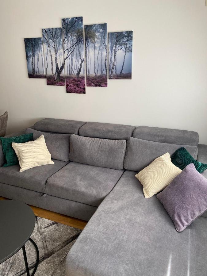 Apartman Pinora, Bazen&Spa Zlatibor Zewnętrze zdjęcie