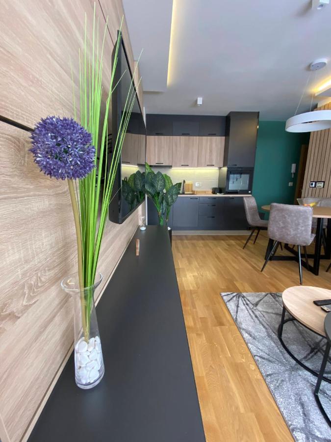 Apartman Pinora, Bazen&Spa Zlatibor Zewnętrze zdjęcie